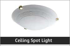 Ceiling Spot Light