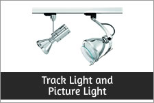Track Light & Picture Light